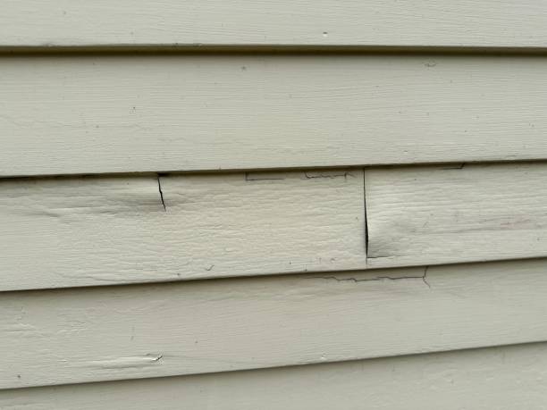 Affordable siding repair and maintenance services in Donora, PA